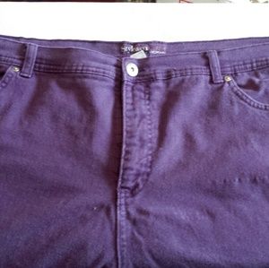 Style & Co. Plus Size Jeans
